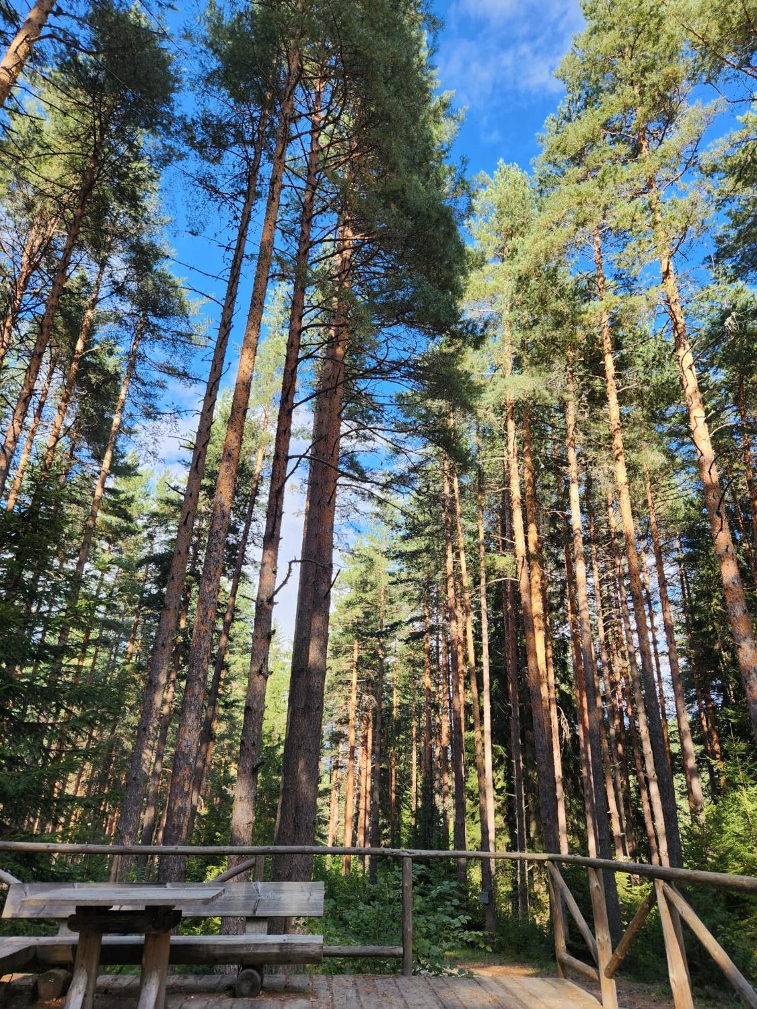 One Bedroom Apartment Pirin Lodge Μπάνσκο Εξωτερικό φωτογραφία