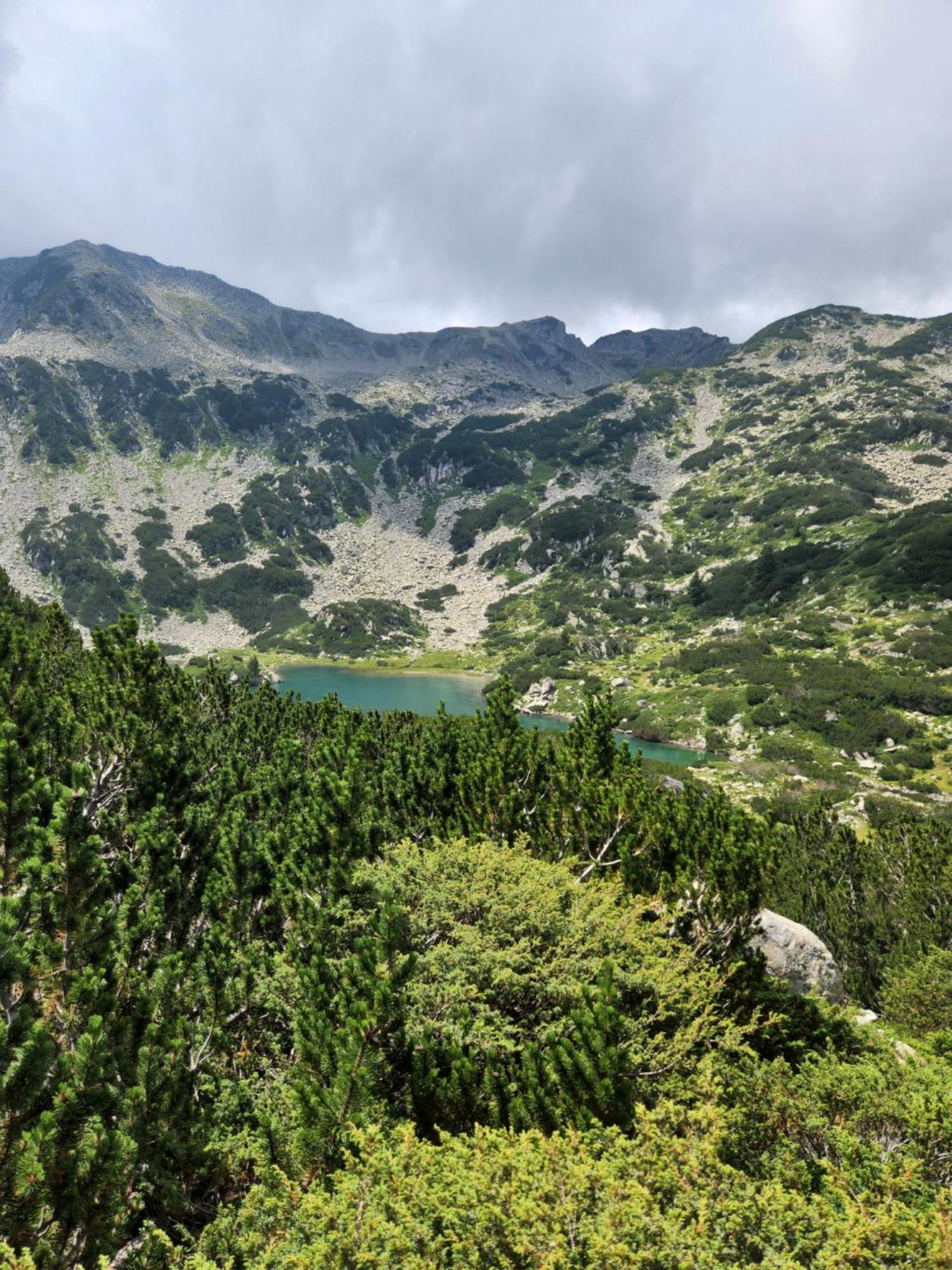 One Bedroom Apartment Pirin Lodge Μπάνσκο Εξωτερικό φωτογραφία